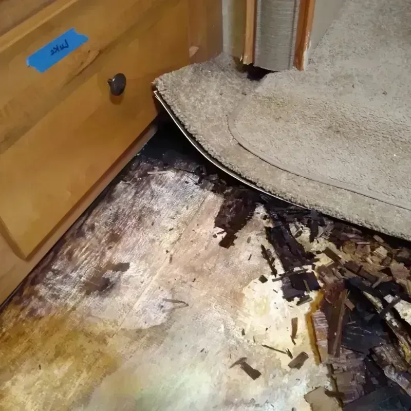 Wood Floor Water Damage in Damascus, MD